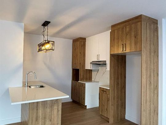 430 Boul. du Bord de l'Eau - Photo 1