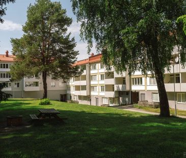 Humlestigen 25 - Photo 4