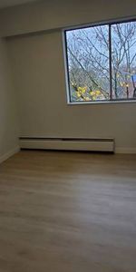 1-Bedroom Apartment-Newly Renovated - Photo 3