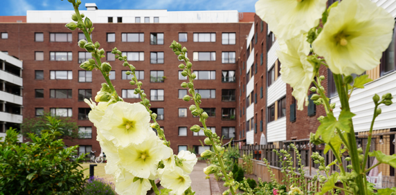 Stora Kvarngatan 5, Gamla Staden - Photo 2