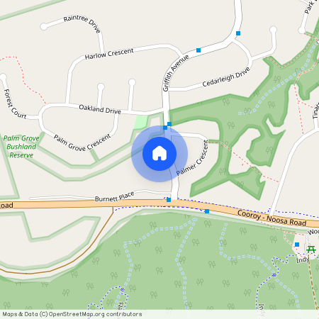 19 Griffith Avenue, Qld 4565, Tewantin