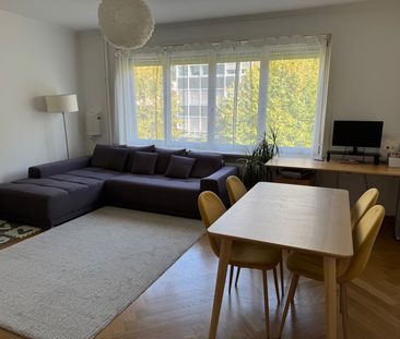 2.5 Zimmer, 70 m², 1. Stock - Photo 2