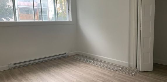 Superbe 3½ – à Charlesbourg - Photo 2