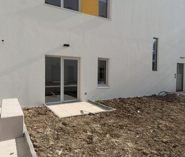 Apartment - Photo 3