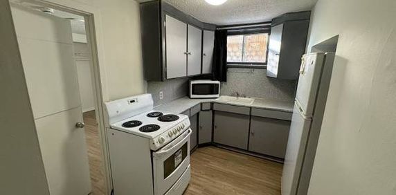 Newly Renovated Downtown 1-bedroom Suit - Photo 2