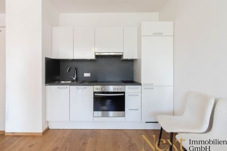 Ideale Pärchen-Wohnung mit voll ausgestatteter Küche in Linz zu vermieten! (Top 29) - Foto 2