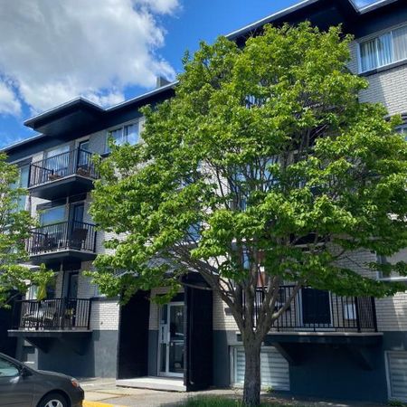 3 1/2 Limoilou chauffé eau chaude 1er février - Photo 4