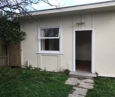 Large 1 bedroom house in Mt Vic - Photo 1