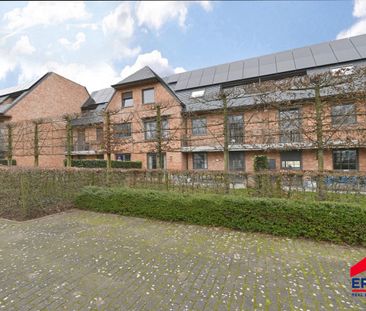 Te huur: recent en lichtrijk 2 slpk app met tuin in Kaprijke - Photo 6