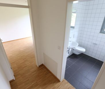 2 Zimmer, 73 m², EG - Foto 5