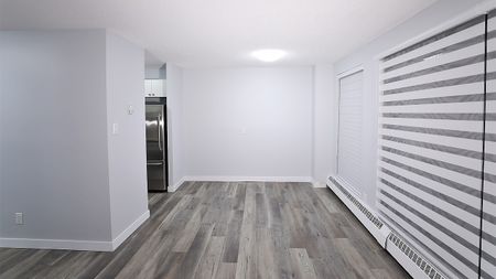1 Bd Newly Renovated Condo For Rent In Oliver W/ Beautiful City Views! - Photo 4
