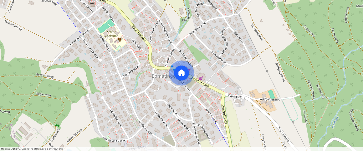 Zürichstrasse **, 8123, Ebmatingen
