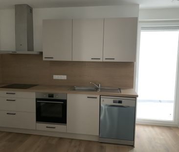 Location Appartement 4 pièces 113m² SARREGUEMINES 57200 - Photo 3