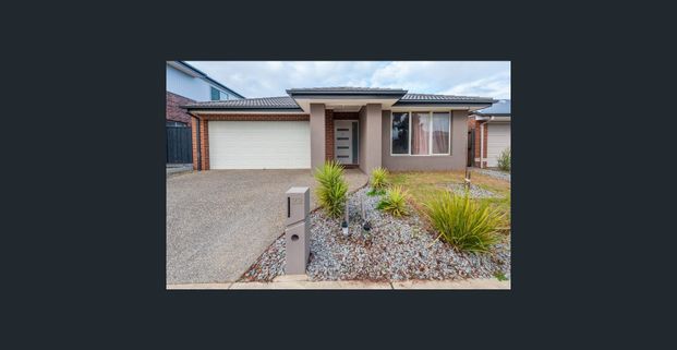 A Cut above the rest - Photo 1