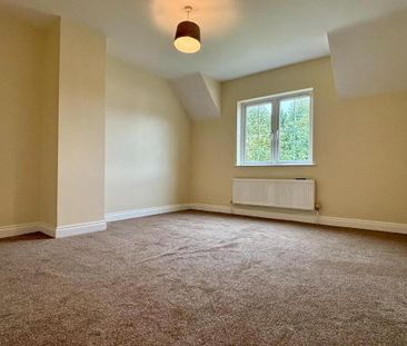 20 Milebush Manor, Dromore, BT25 1TF - Photo 5