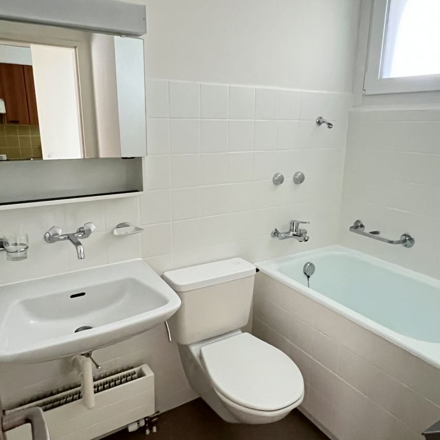 Singlewohnung an ruhiger Lage sucht Sie! - Foto 1