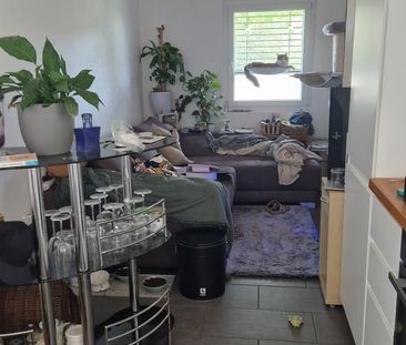 2 Zimmer, 45 m² - Foto 2