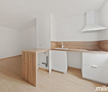 Location Appartement 1 pièce 20m² METZ 57070 - Photo 2