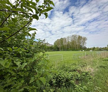 Großzügige 1-Raum-Wohnung nahe Zeisigwald - Photo 2