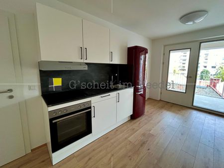 RAUM ZUM WACHSEN - Appartements direkt an der TU - freie Zimmer in 3er-WG [GiV,TU] - Photo 2