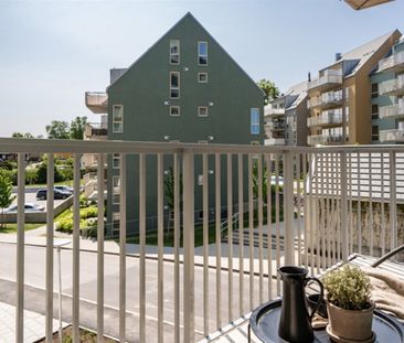 Rotundan 4 - Photo 5