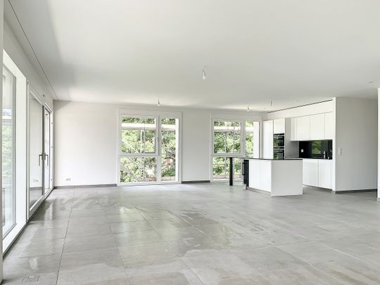 Appartement de 5 pièces avec terrasse à Bellevue - Photo 1