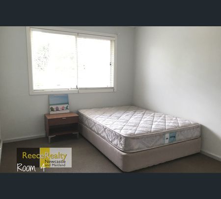 11 Jacknorman Street, Waratah West, NSW 2298 - Photo 3