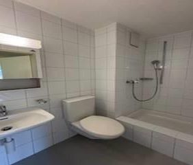 Helle und moderne Wohnung in ruhigem Quartier - Foto 5