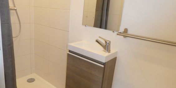 Location Appartement 1 pièce 10m² FONTAINEBLEAU 77300 - Photo 3