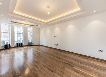 Upper Grosvenor Street - Photo 4