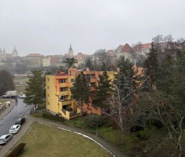 Pronájem bytu 2+1 41 m - Photo 3