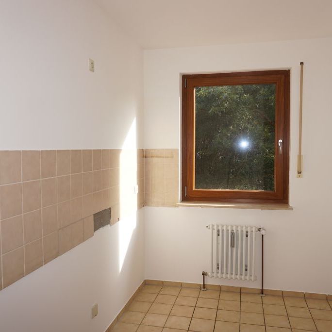 Ruhige Lage: 3-Zi. Wohnung Nbg. - Zerzabelshof / Wohnung mieten - Photo 1