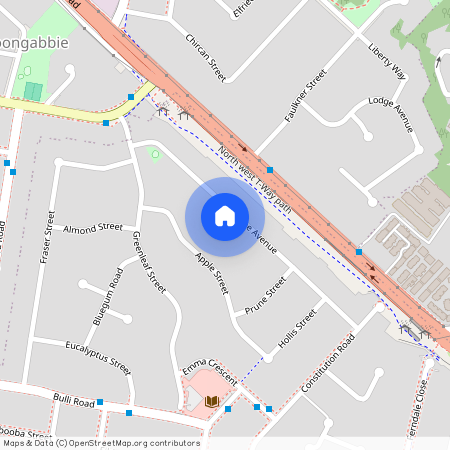 32 Peachtree Avenue, NSW 2145, Constitution Hill