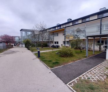 MANNSWOERTH I - Photo 5