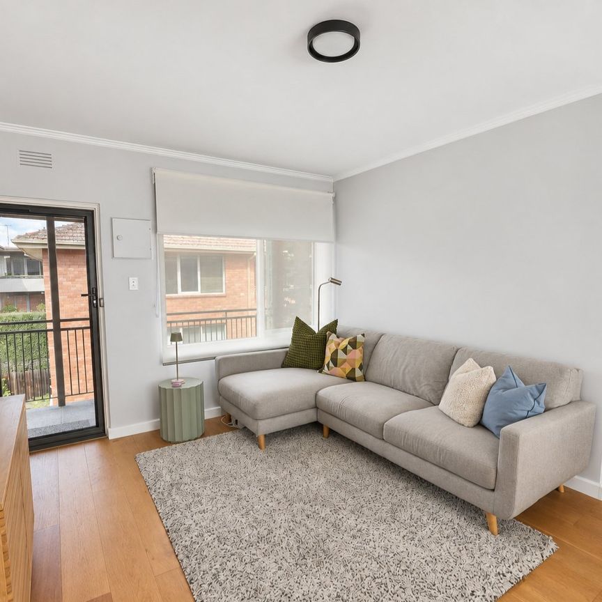 Beautifully Renovated Living in the Heart of Hawthorn - Photo 1