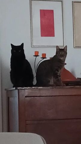 Via di Monte Verde, Rome, Lazio 00151 - Photo 3