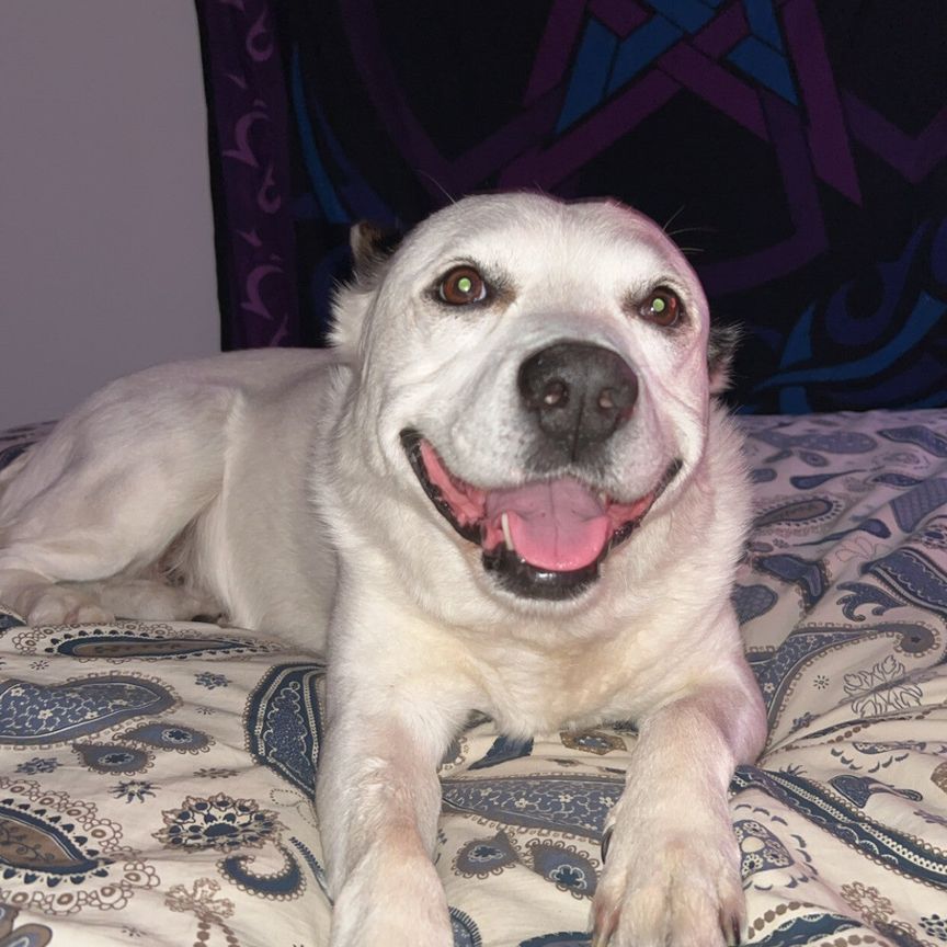 Andrews Farm - Photo 1