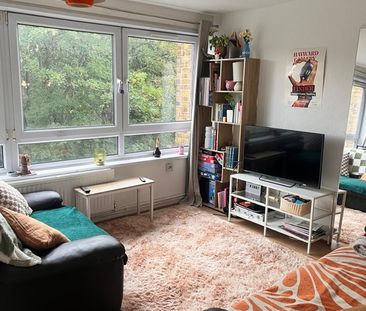 3 Bed Flat, Loweswater House, E3 - Photo 4