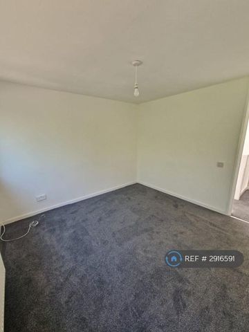 4 bedroom terraced house to rent - Photo 5