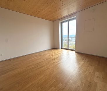 Ihre exklusive Attikawohnung über den Dächern von Winterthur! - Photo 4