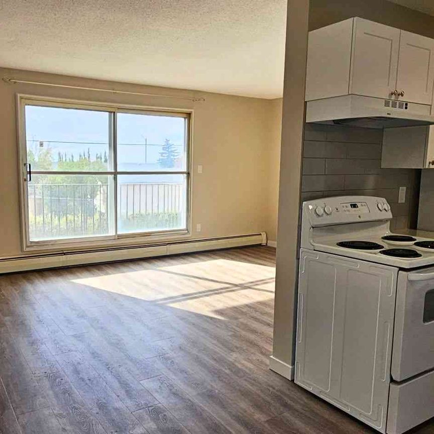 Alexo & Phoenix – 1 Bedroom - Photo 1