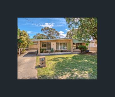 Newly Renovated 2 x 1 in a Convenient Central Location - Photo 1