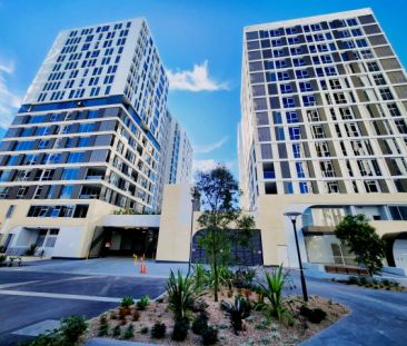 2 bed 1 bath-110 - Photo 6