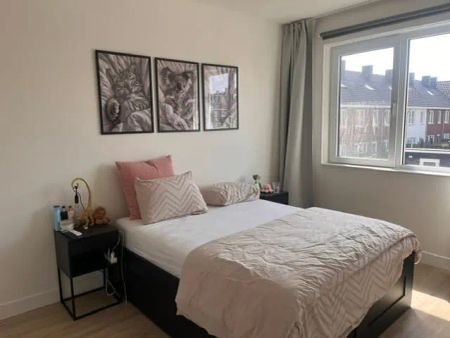 Maison familiale Poproute 48, Middelburg - À louer - Foto 4
