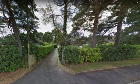 3 bedroom bungalow to rent - Photo 2