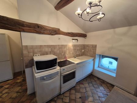 Location Appartement 1 pièce 53m² MACON 71000 - Photo 4