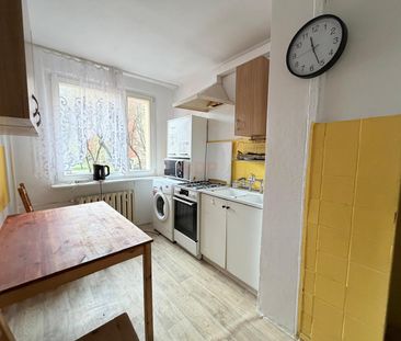 3 ustawne pokoje w super lokalizacji - Photo 1