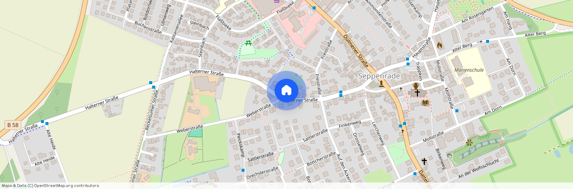 Halterner Strasse 21, 59348 Lüdinghausen