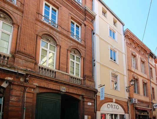 Location Appartement 1 pièce 25m² TOULOUSE 31000 - Photo 1