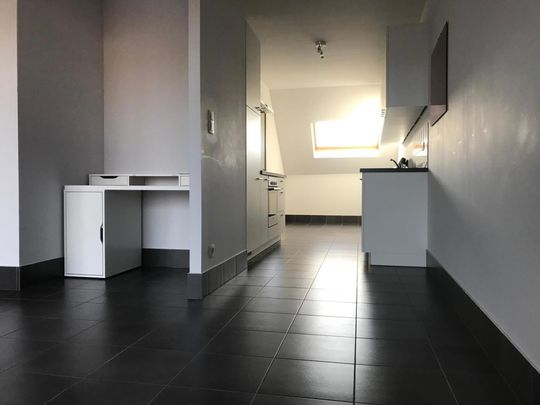 Buurt UZ: 1 slaapkamer appartement - Foto 1